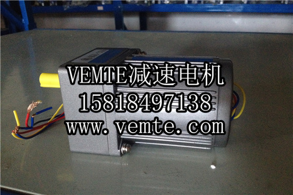 小電機(jī)，小型調(diào)速電機(jī),微型減速電機(jī) (2)